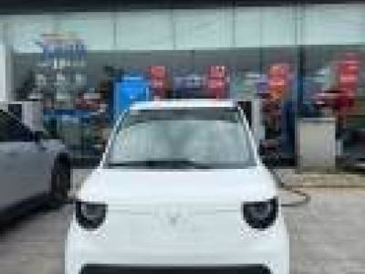 VinFast VF2 Eco - 2026