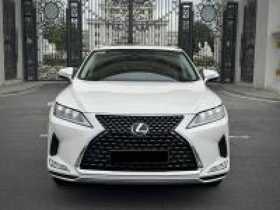 Lexus RX 300 - 2022