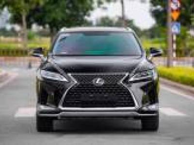 Lexus RX 300 - 2019