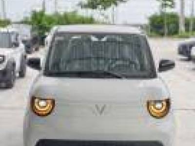 VinFast VF2 Eco - 2026