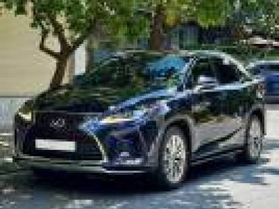 Lexus RX 300 - 2020