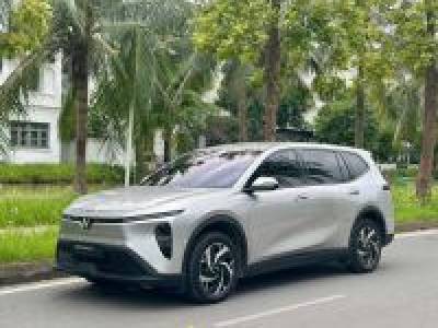 VinFast Limo Green AT - 2025